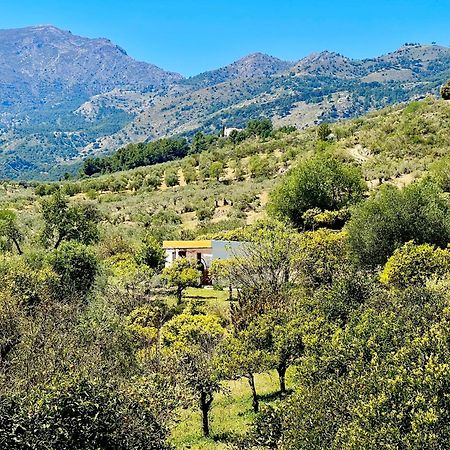 Appartamento Finca Martina Casarabonela Esterno foto