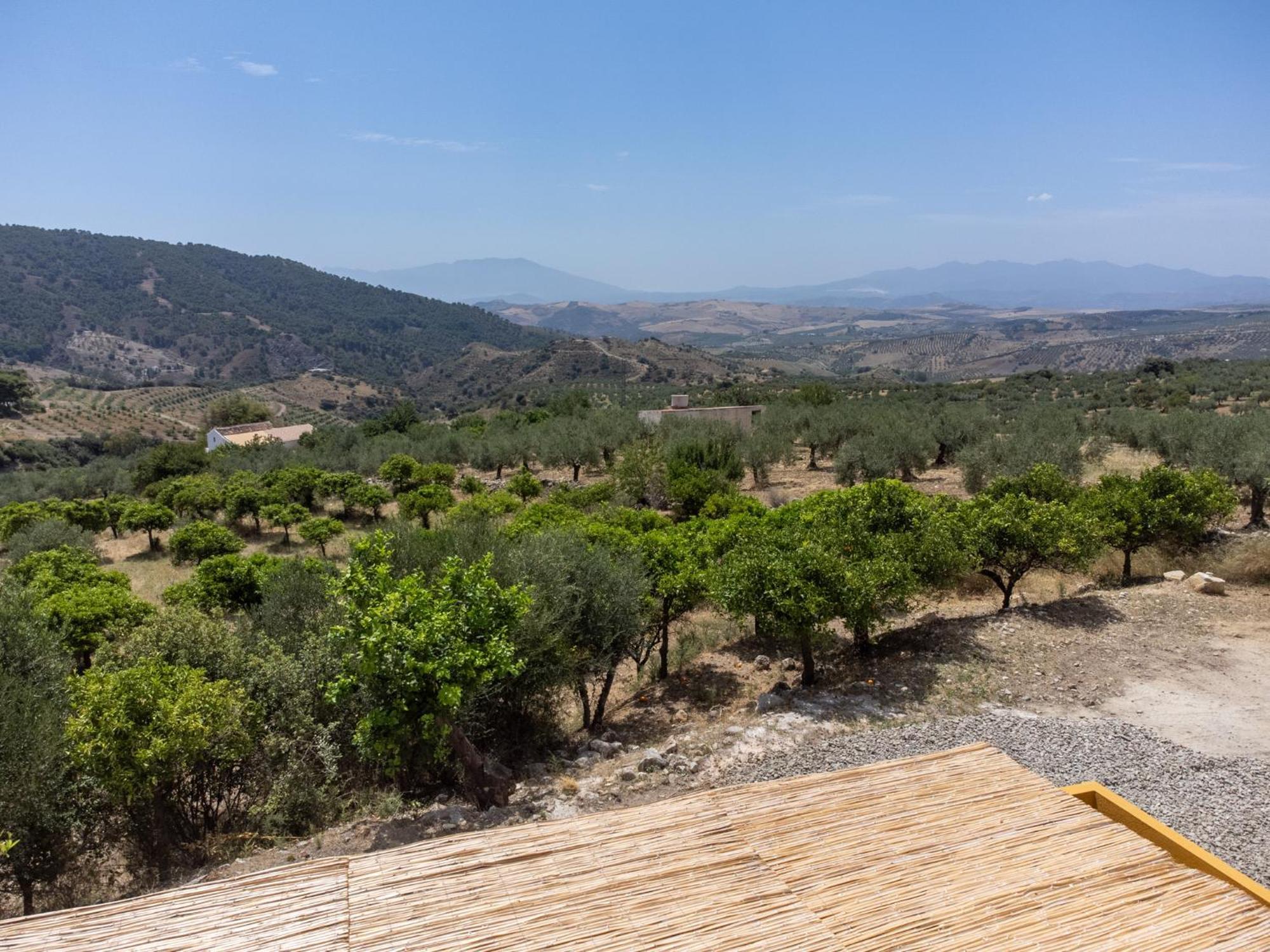 Appartamento Finca Martina Casarabonela Esterno foto