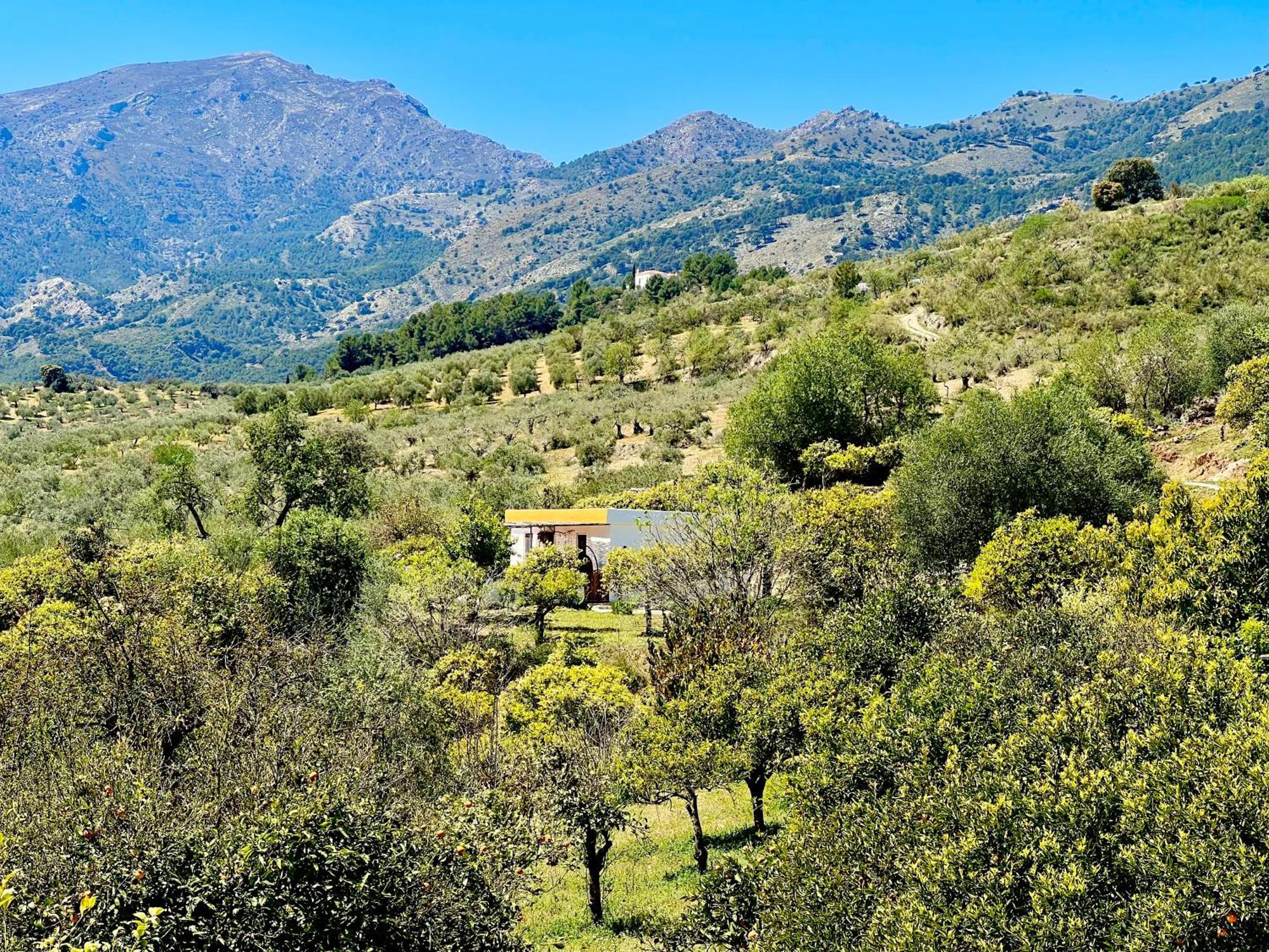 Appartamento Finca Martina Casarabonela Esterno foto